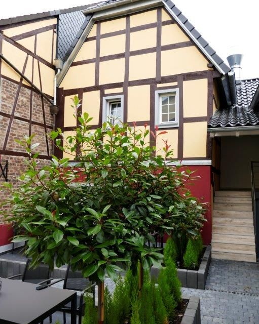 Kleine Beethovenhalle
