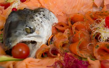 Catering von Team der kleinen Beethovenhalle